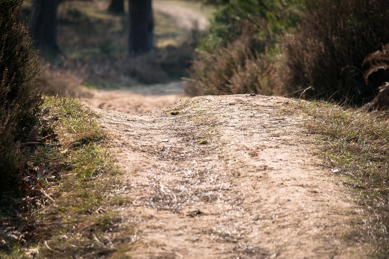 Exploring Pagan Paths: A Modern Guide to Ancient Spiritual Traditions