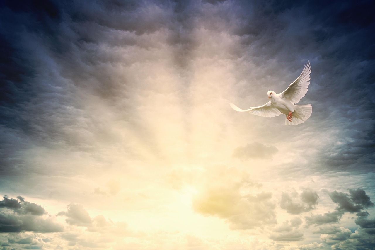 Divine Whispers: Understanding Channelings and Spirit Messages in Your Spiritual Journey